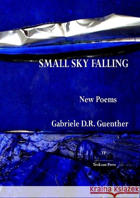 Small Sky Falling : New Poems Guenther, Gabriele D.R. 9783746770314