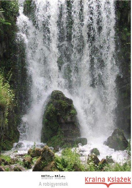 A robigyerekek Müller, Márta 9783746776606 epubli