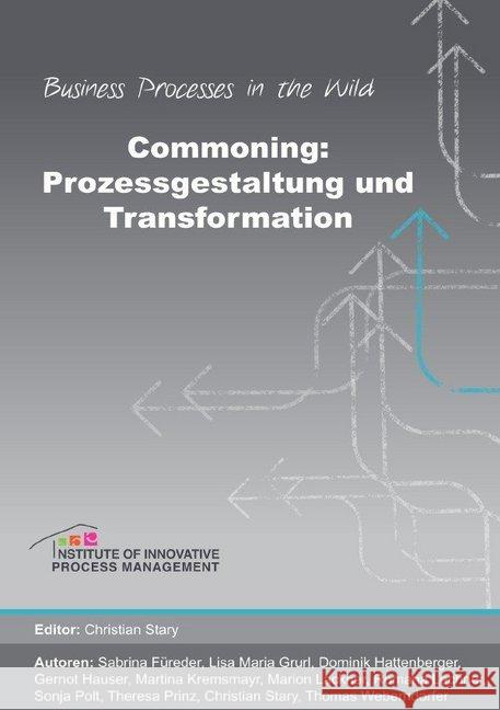 Commoning : Prozessgestaltung und Transformation Stary, Christian 9783746788722