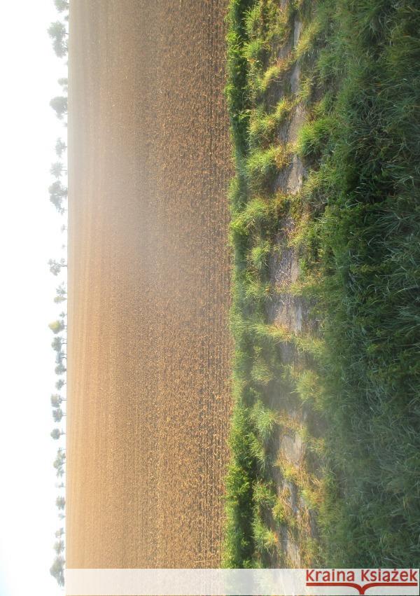 Hinternugelnapfingen : Arbeitsstudie zur Verfilmung meines literarischen Machwerks Ziegler, Joachim 9783746790084 epubli