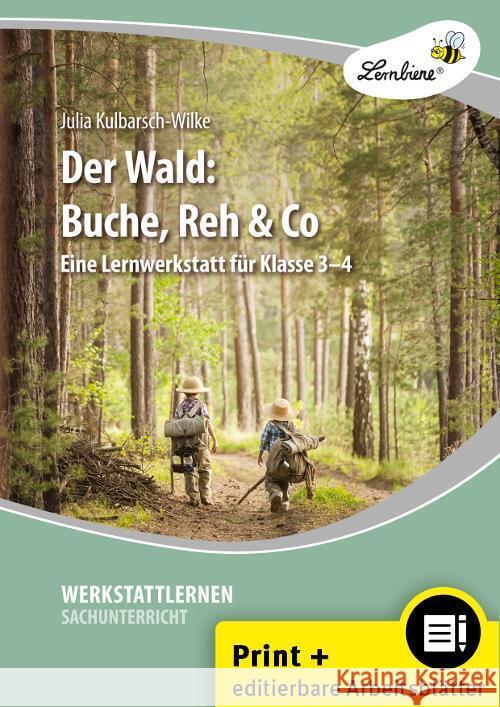 Der Wald: Buche, Reh & Co, m. 1 CD-ROM Baack, Wibke 9783746810584 Lernbiene Verlag