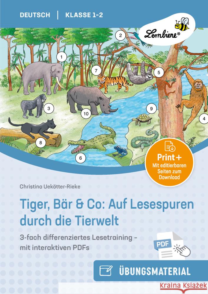 Tiger, Bär & Co: Auf Lesespuren durch die Tierwelt Uekötter-Rieke, Christina 9783746811369 Lernbiene Verlag