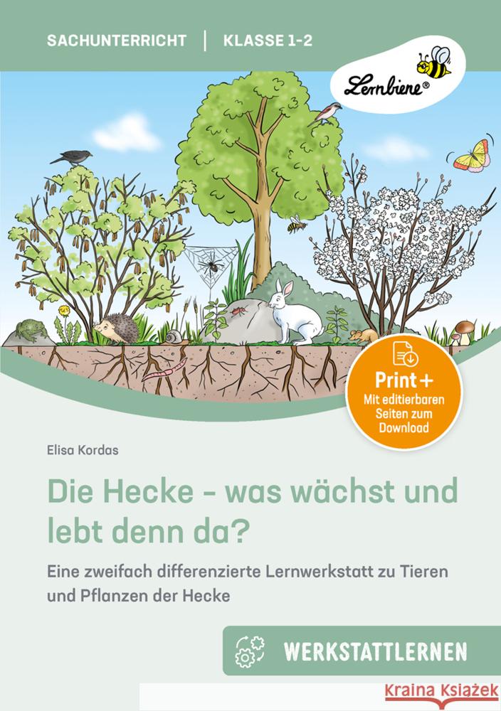 Die Hecke - was wächst und lebt denn da Kordas, Elisa 9783746812229