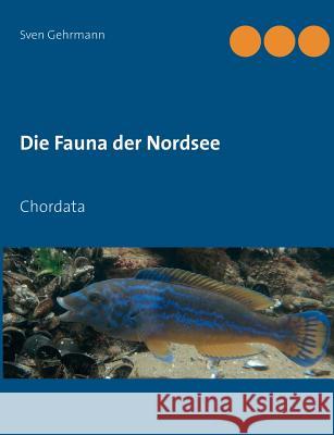 Die Fauna der Nordsee: Chordata Sven Gehrmann 9783748119814 Books on Demand