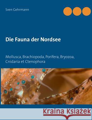 Die Fauna der Nordsee: Mollusca, Brachiopoda, Porifera, Bryozoa, Cnidaria et Ctenophora Gehrmann, Sven 9783748155898 Books on Demand