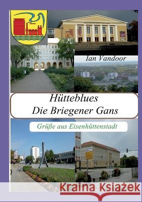 H?tteblues: Die Briegener Gans Ian Vandoor 9783748157694