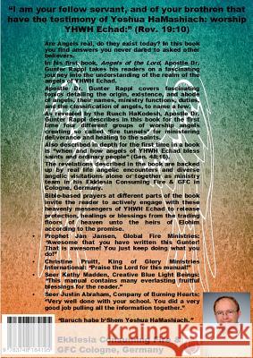 Angels of the Lord: An apostolic-prophetic-messianic teaching Rappl, Gunter 9783748184195