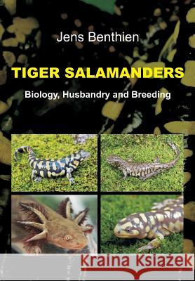 Tiger Salamanders Jens Benthien 9783748205180 Tredition Gmbh