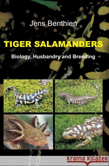 Tiger Salamanders Jens Benthien 9783748205197