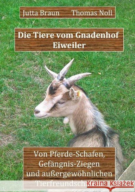 Die Tiere vom Gnadenhof Eiweiler : Von Pferde-Schafen, Gefängnis-Ziegen und außergewöhnlichen Tierfreundschaften Braun, Jutta; Noll, Thomas 9783748520009 epubli