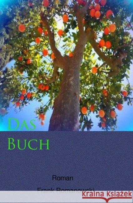 Das Buch Romanowski, Frank 9783748522072 epubli