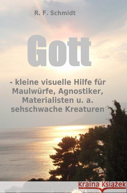 Gott - kleine visuelle Hilfe für Maulwürfe, Agnostiker, Materialisten u. a. sehschwache Kreaturen : Keine Phrasen, keine Gefühlsausbrüche, sondern nüchterne Fragen! Schmidt, R. F. 9783748539087 epubli