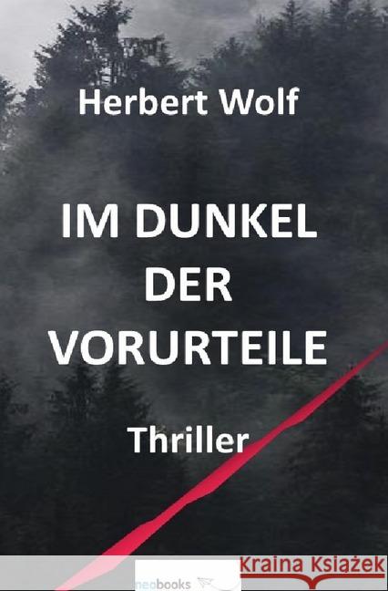 Im Dunkel der Vorurteile : Thriller Wolf, Herbert 9783748543282