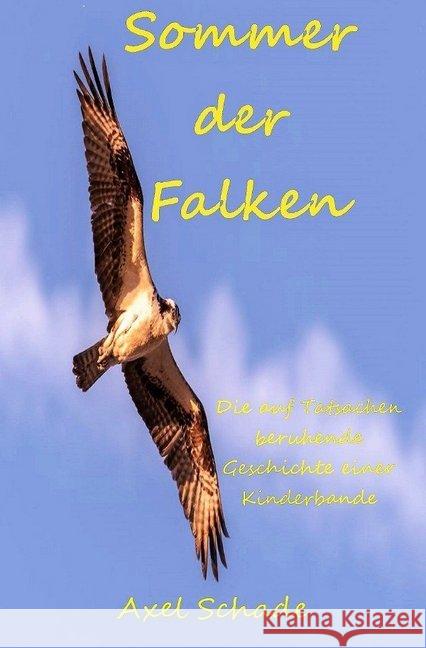 Sommer der Falken : Die auf Tatsachen beruhende Geschichte einer Kinderbande Schade, Axel 9783748543930