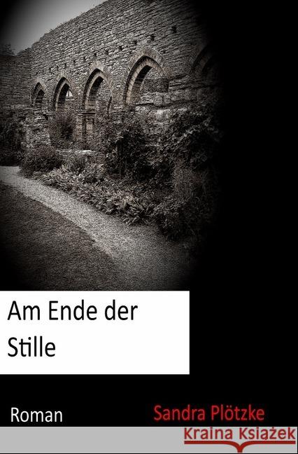 Am Ende der Stille Plötzke, Sandra 9783748572763 epubli