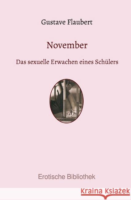 November : Das sexuelle Erwachen eines Schülers Flaubert, Gustave 9783748581154