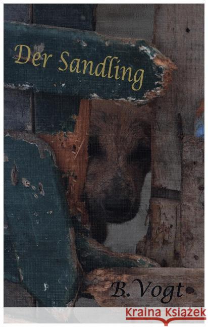 Der Sandling Benjamin Vogt 9783749498796