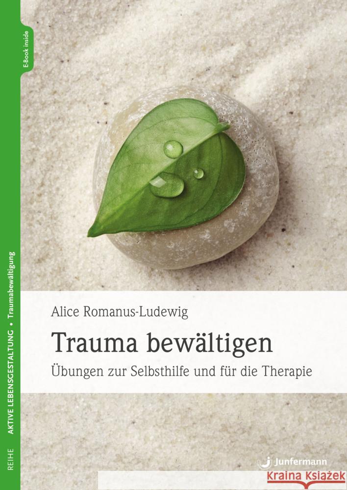 Trauma bewältigen Romanus-Ludewig, Alice 9783749503247