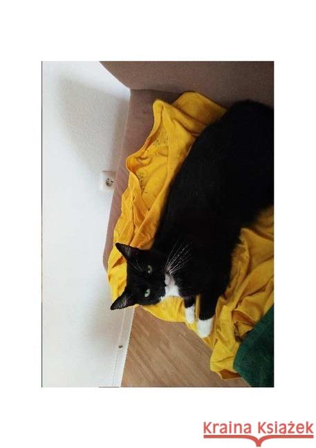 Ein Schnurrhaar für meine Wohnung Gathen, Barbara 9783750206540 epubli