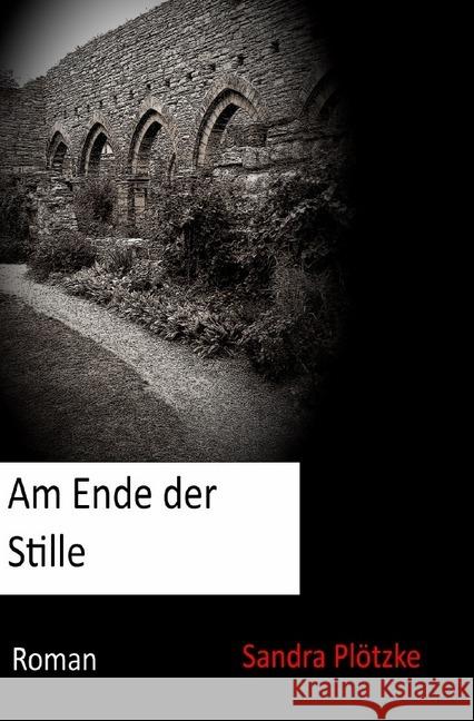 Am Ende der Stille Plötzke, Sandra 9783750207523 epubli