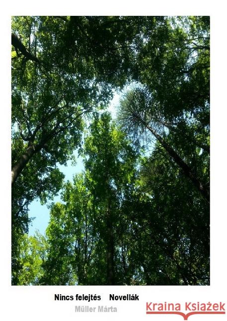 Nincs felejtés : Novellák Müller, Márta 9783750245099 epubli