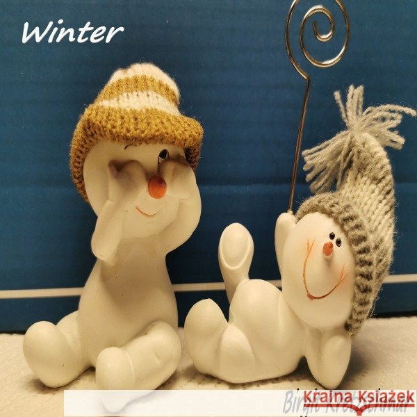 Winter Kretzschmar, Birgit 9783750250871