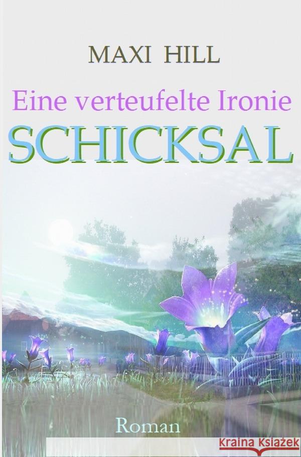 Eine verteufelte Ironie - Schicksal Hill, Maxi 9783750254183