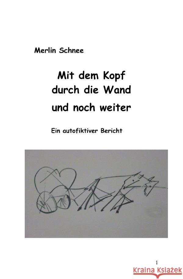 Mit dem Kopf durch die Wand und noch weiter : Ein autofiktiver Bericht Schnee, Merlin 9783750262492