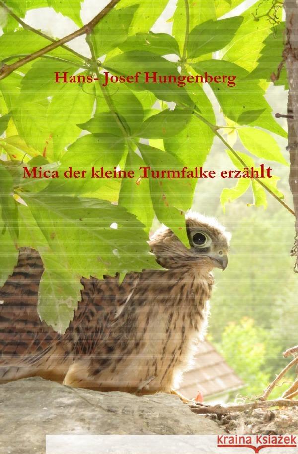 Mica der kleine Turmfalke erzählt Hungenberg, Hans- Josef 9783750263772