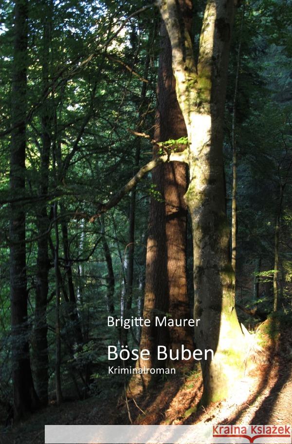 Böse Buben Maurer, Brigitte 9783750269491