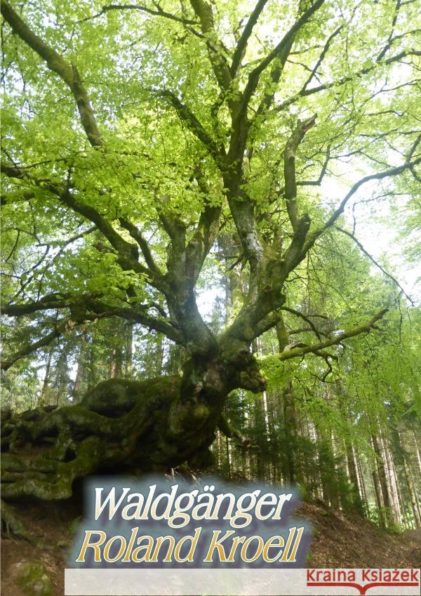 Waldgänge : Kurzgeschichten aus dem Wald Kroell, Roland 9783750286559