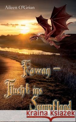 Rowan - Flucht ins Sumpfland Aileen O'Grian 9783750420267 Books on Demand