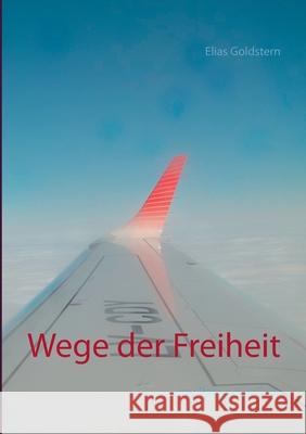 Wege der Freiheit: my Pain your Gain Goldstern, Elias 9783750482180