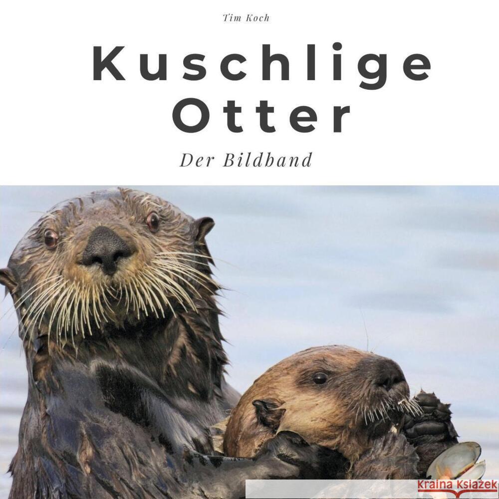 Kuschelige Otter Koch, Tim 9783750500754