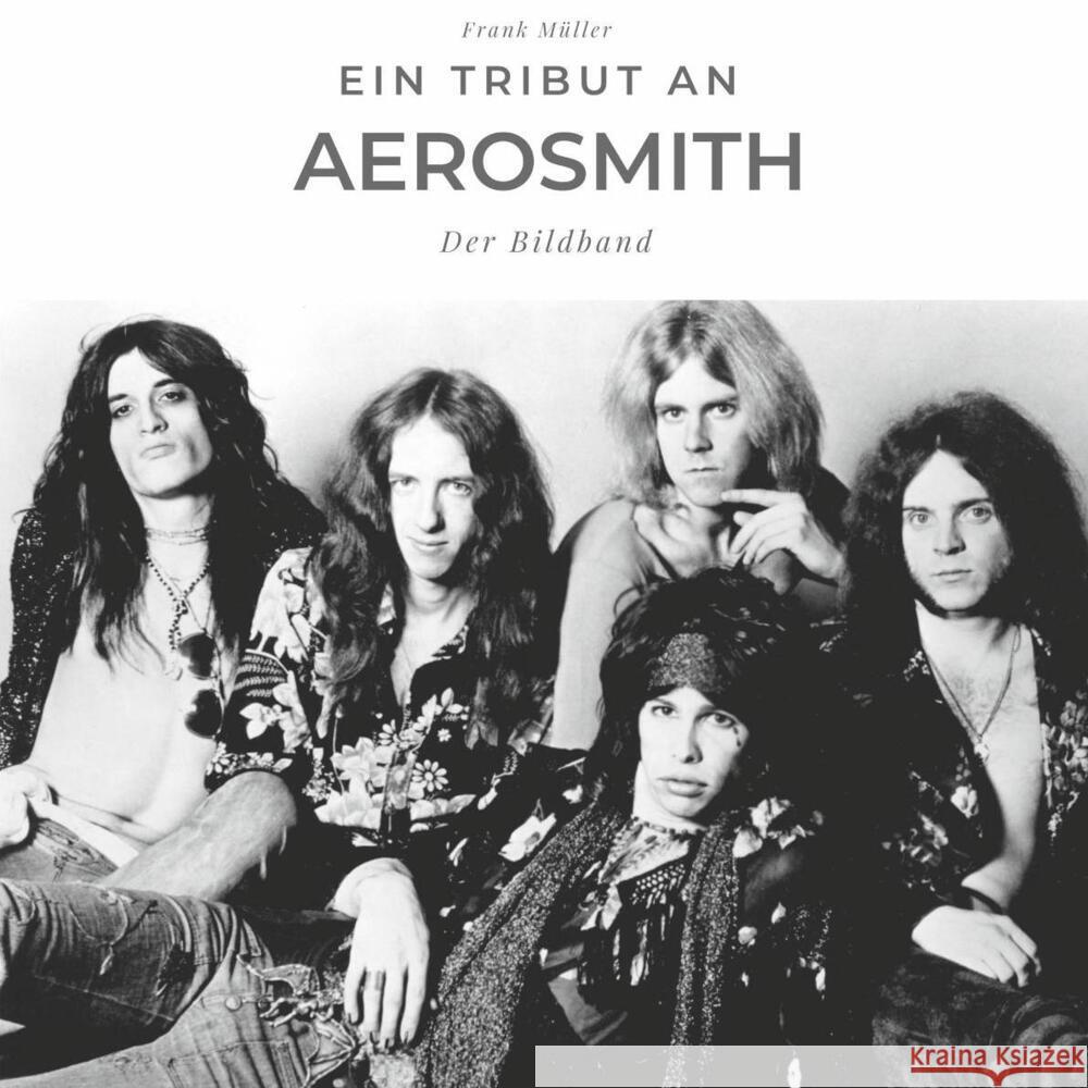 Ein Tribut an Aerosmith Müller, Frank 9783750501911