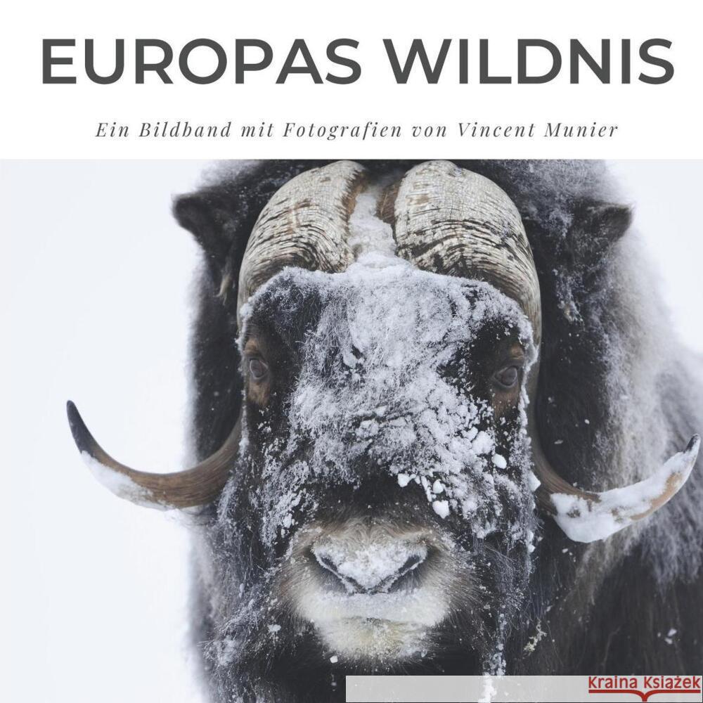 Europas Wildnis Müller, Frank 9783750503014