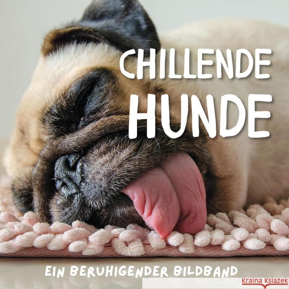 Chillende Hunde Gruber, Stefan 9783750503793 27amigos