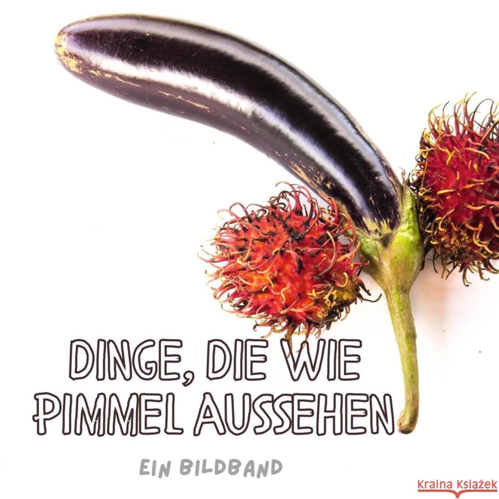 Dinge, die wie Pimmel aussehen Gruber, Stefan 9783750504141