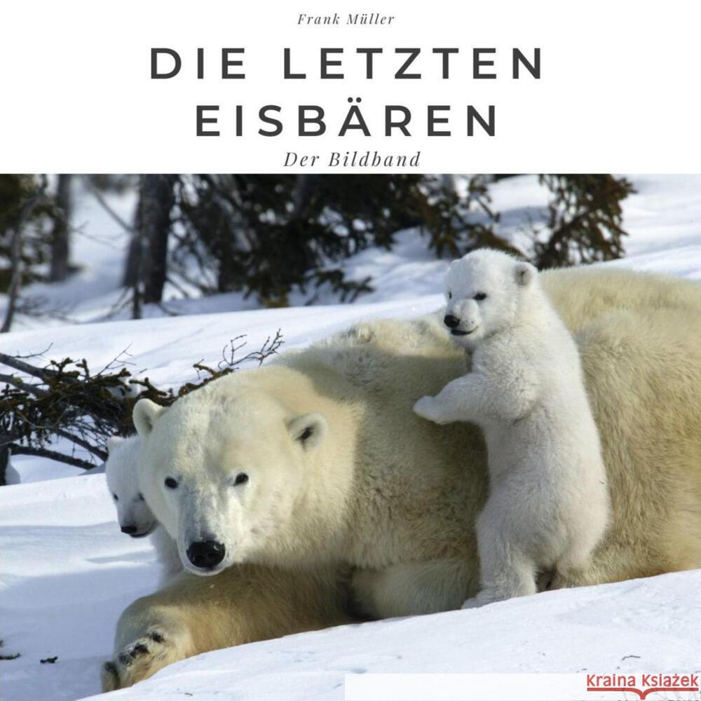 Die letzten Eisbären Müller, Frank 9783750504387