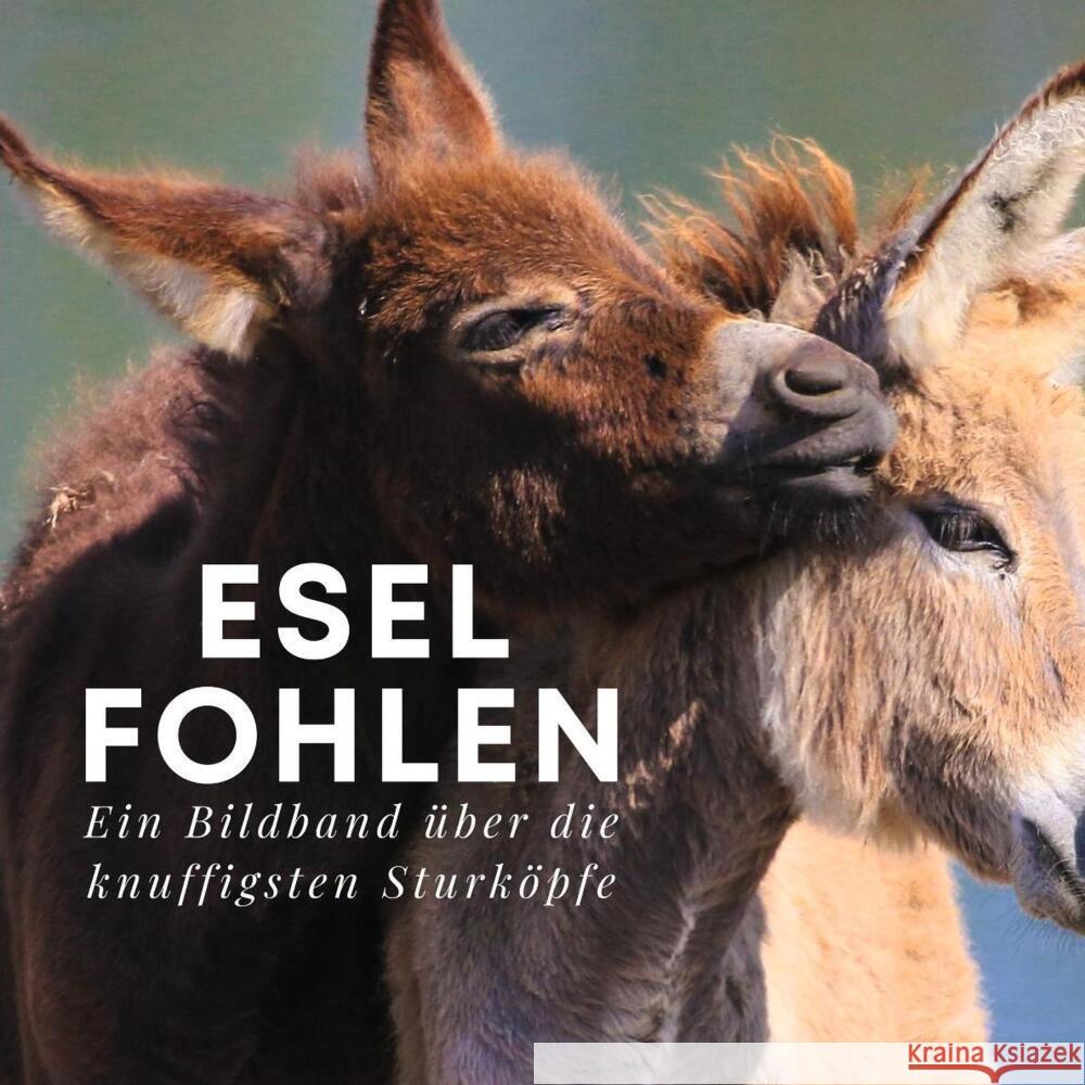 Esel-Fohlen Hübsch, Bibi 9783750504882