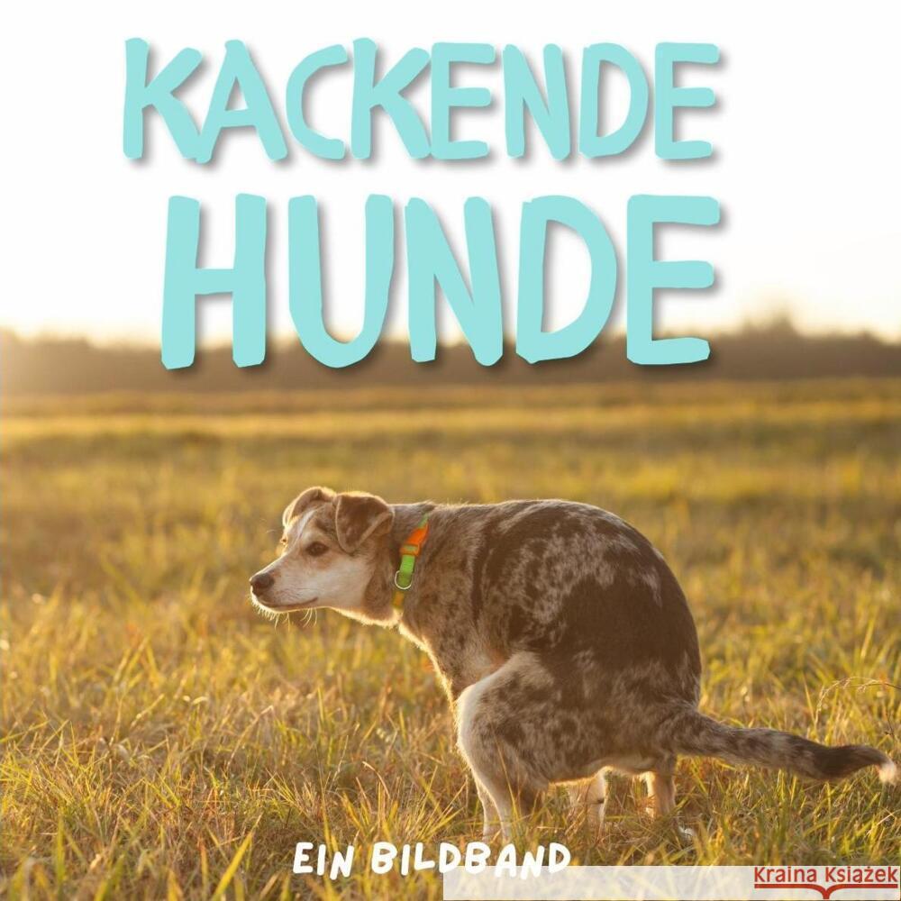 Kackende Hunde Fröhlich, Tim 9783750505346 27amigos