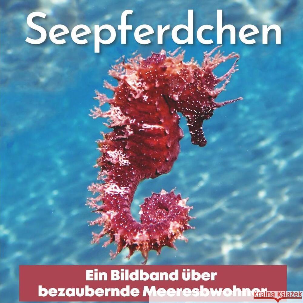 Seepferdchen Hübsch, Bibi 9783750505872