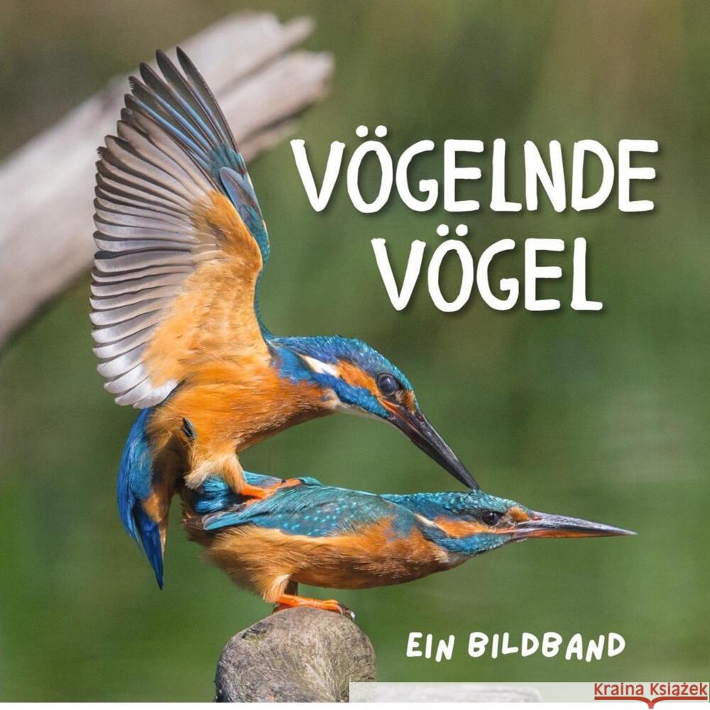 Vögelnde Vögel Fröhlich, Tim 9783750506411 27amigos