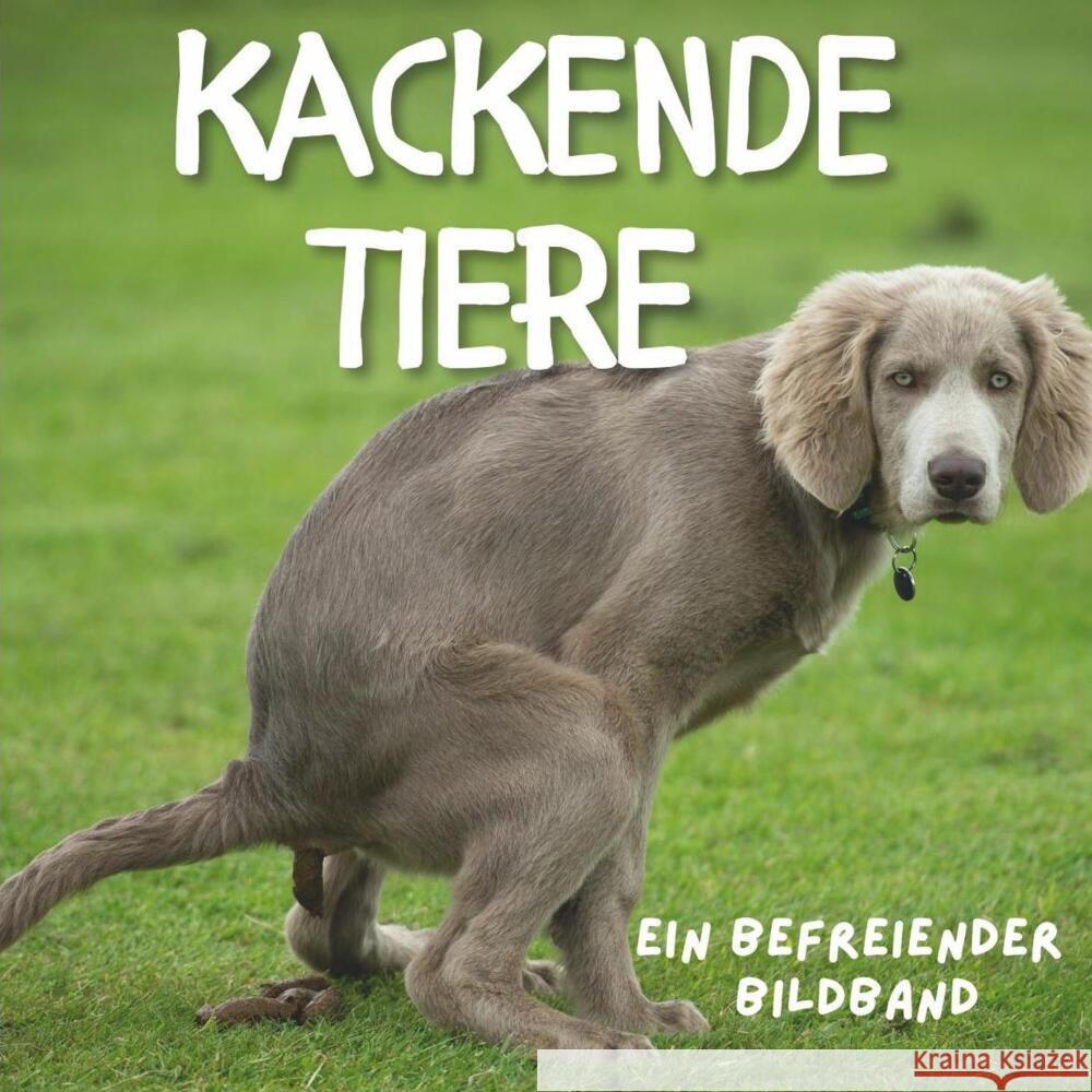 Kackende Tiere Fröhlich, Tim 9783750506978