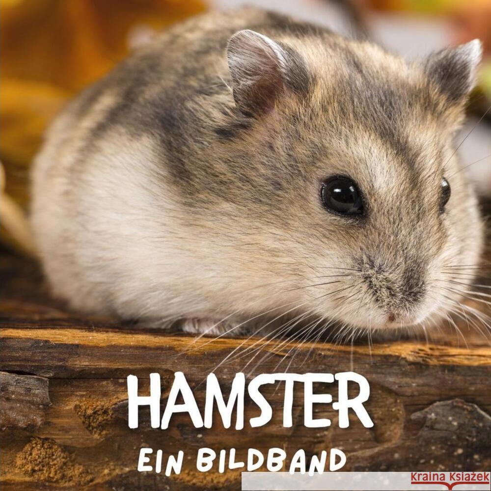 Hamster Hübsch, Bibi 9783750509382