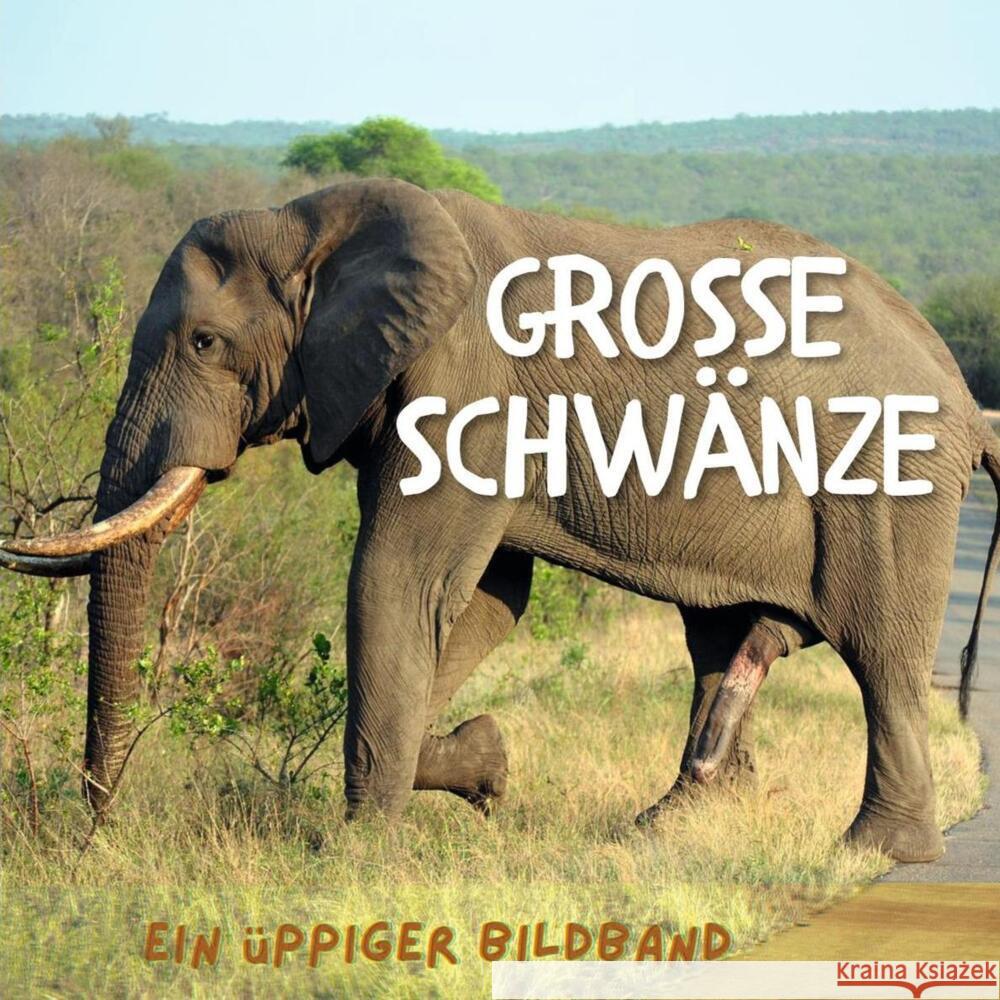 Grosse Schwänze Fröhlich, Tim 9783750509511