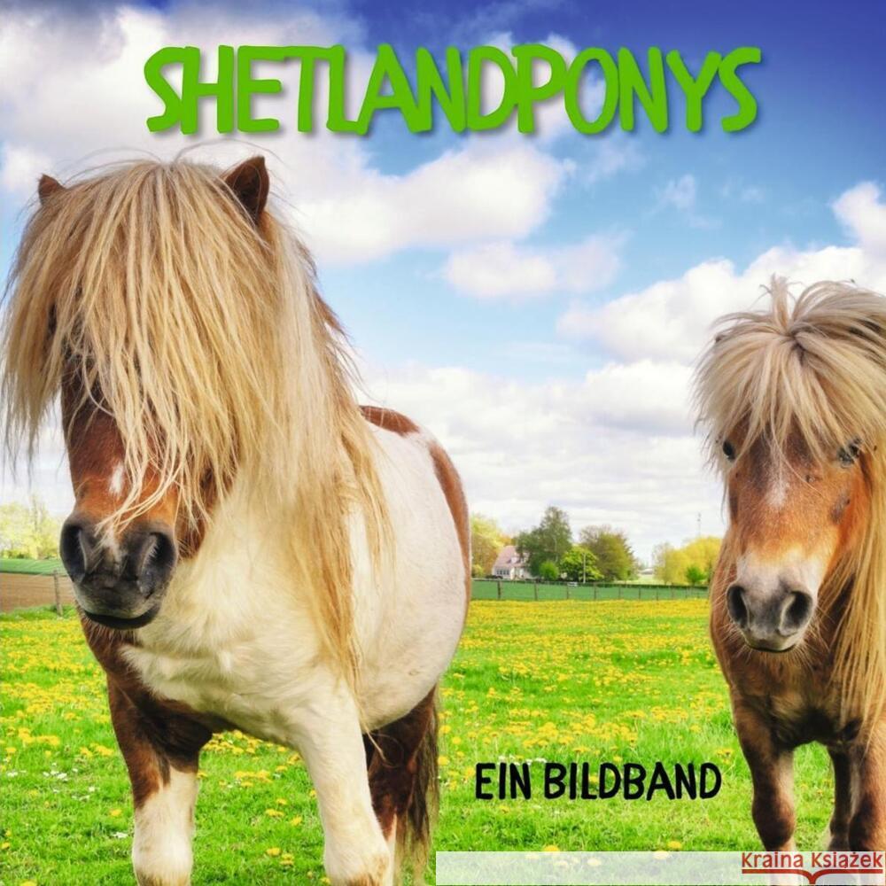 Shetlandponys Hübsch, Bibi 9783750512801