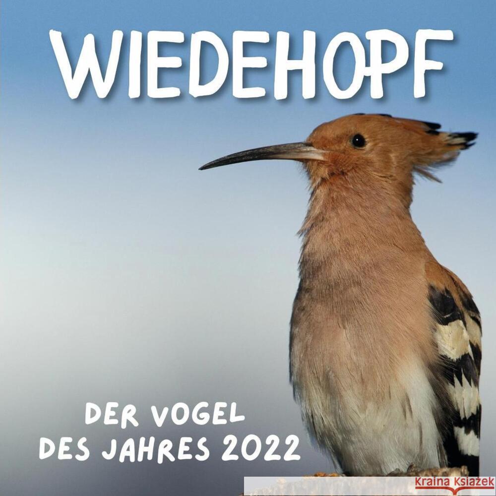 Wiedehopf Hübsch, Bibi 9783750513310 27amigos