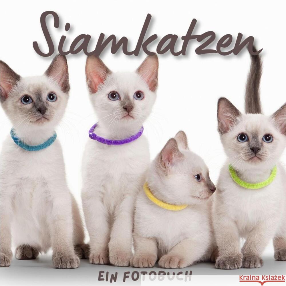 Siamkatzen Hübsch, Bibi 9783750514553