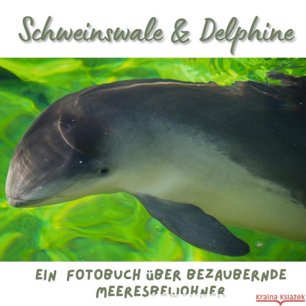 Schweinswale & Delphine Hübsch, Bibi 9783750515109